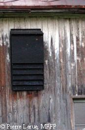 Maisons pour chauves-souris en plein air,Boîte d'habitat extérieur en bois  pour chauve-souris | Décoration extérieure en bois pour habitat de
